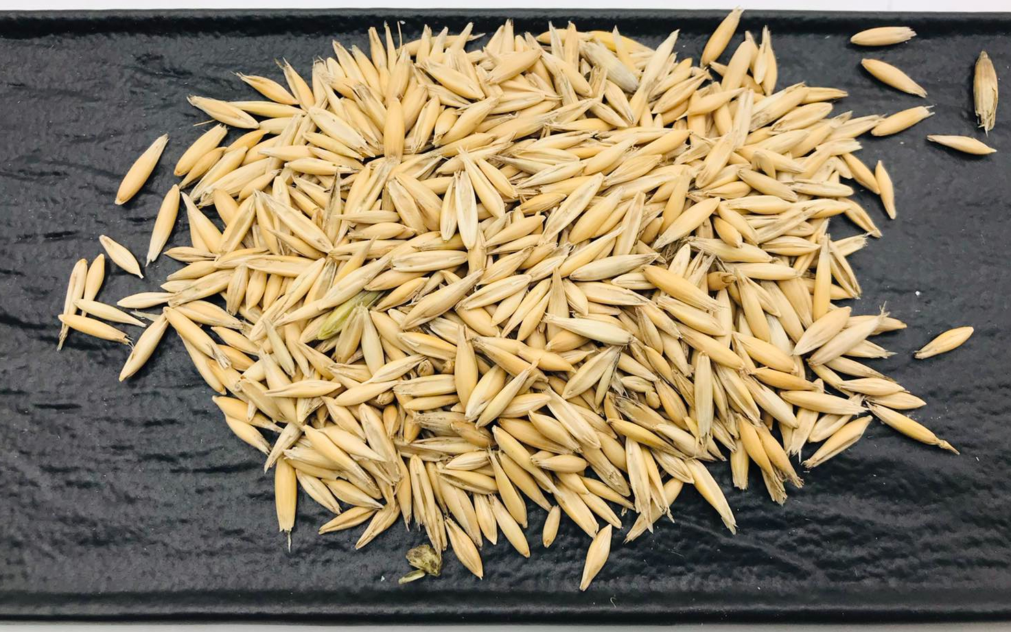 Avena per sazietà